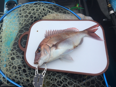県南でカヤックフィッシング！