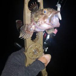 アジング 練習 129