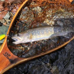 新規開拓の続き