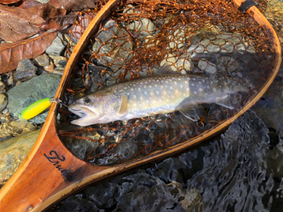 新規開拓の続き