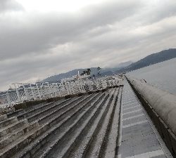 3/14釣果メタボチヌ2枚デカアジタチウオ