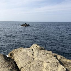 青物狙いのはずが