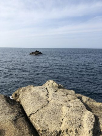 青物狙いのはずが