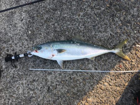 ２代目デビューでいきなり（笑）