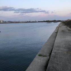 イチノ兄弟、釣果!