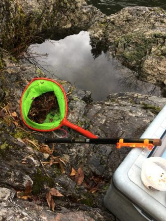 玉川　あまご 解禁