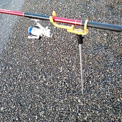 ボチボチ　春イカの季節かなぁー