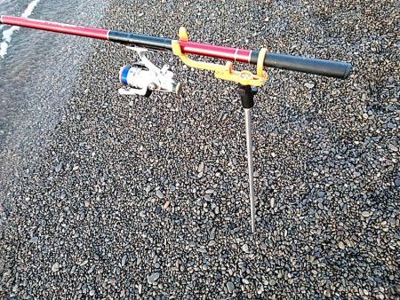 ボチボチ　春イカの季節かなぁー