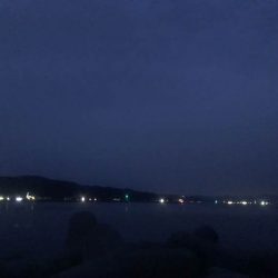 下の方で、なんとか小さいのゲット