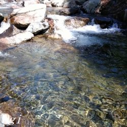 揖保川支流で今シーズン一の釣果