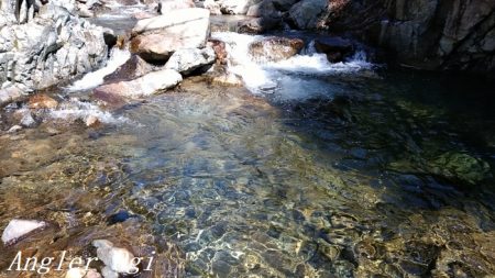 揖保川支流で今シーズン一の釣果