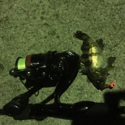 小さくても嬉しい。