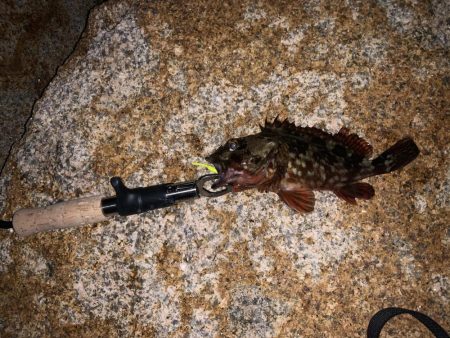 人工島で今年初メバリング！！