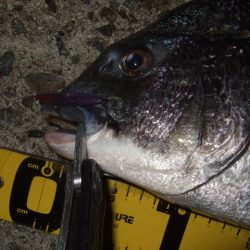 ハイシーズンまではもう少し