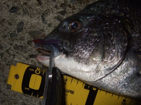 ハイシーズンまではもう少し