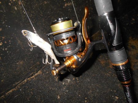 ソリッドティップでないと厳しい…。