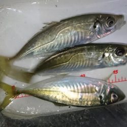 人生初エステル！！