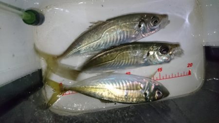 人生初エステル！！