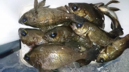 アミパターン！！