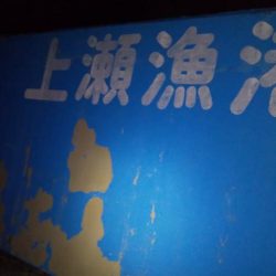 ヤリイカリベンジ