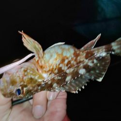 困った時のガルプ頼み