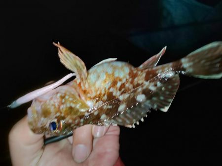 困った時のガルプ頼み