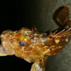 食欲ないのかな？