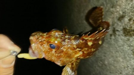 食欲ないのかな？