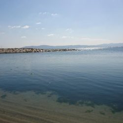 根魚釣りはソイまみれに