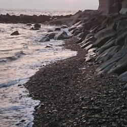 青物  アジング  エギング