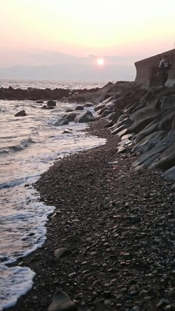 青物  アジング  エギング