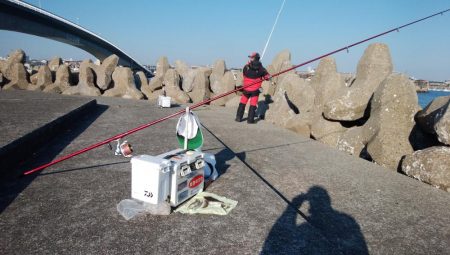東二見でキス釣り