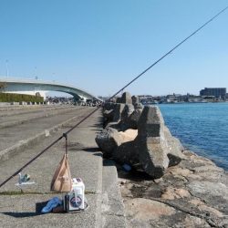 東二見へキス狙い