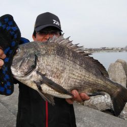 キス仕掛けで大物が釣れました