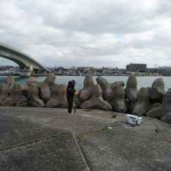 強風の東二見釣行