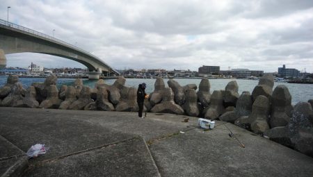 強風の東二見釣行