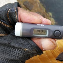 今朝も東二見でキス釣り