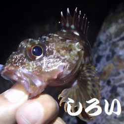 初ガシリング！