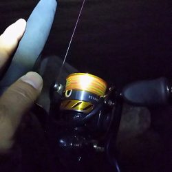 今日も、ワームで釣りに行く。