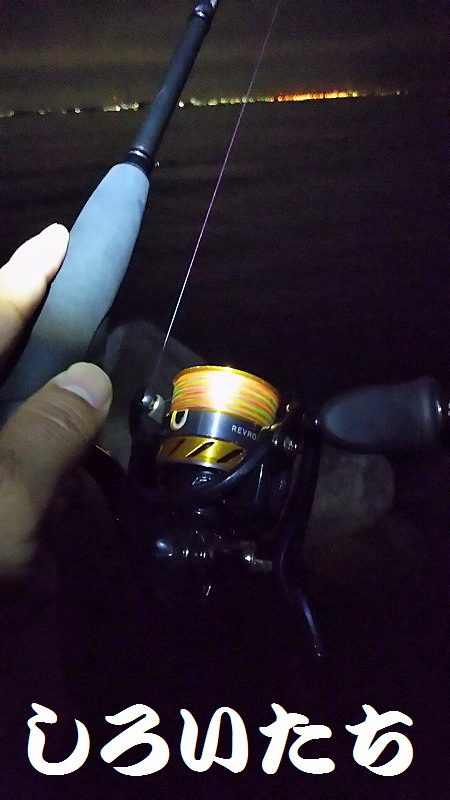 今日も、ワームで釣りに行く。