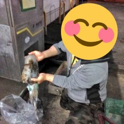 初春のキロアップ