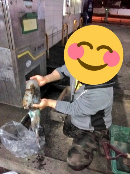 初春のキロアップ