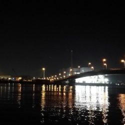 南港へち釣行 (2020/03/01 南港ヘチ釣り 真チヌ(48cm)ガシラ(21cm) 釣果有り)