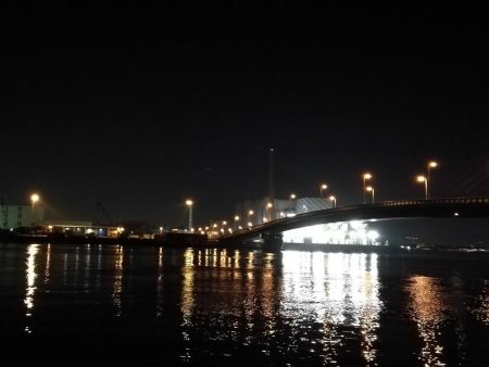 南港へち釣行 (2020/03/01 南港ヘチ釣り 真チヌ(48cm)ガシラ(21cm) 釣果有り)