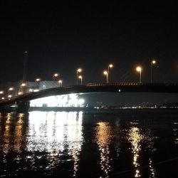 南港へち釣行 （2020/03/07 南港ヘチ釣り　キビレチヌ（44cm）ガシラ 釣果有り）