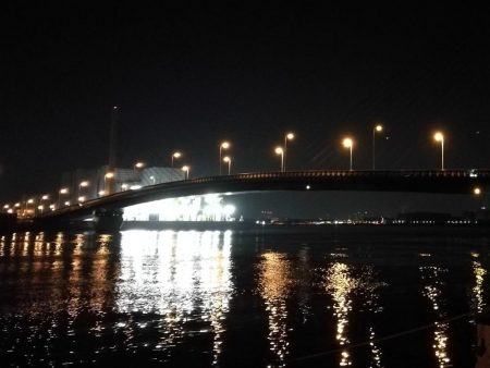 南港へち釣行 （2020/03/07 南港ヘチ釣り　キビレチヌ（44cm）ガシラ 釣果有り）