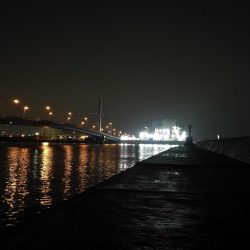 南港へち釣行 （2020/03/08 南港ヘチ釣り　真チヌ（46.5cm）ガシラ 釣果有り）