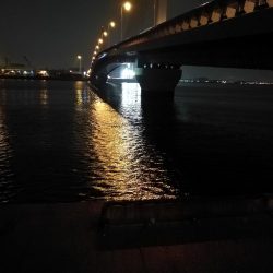 南港へち釣行 （2020/03/13 南港ヘチ釣り　キビレチヌ（45.5cm）真チヌ（30.5cm） 釣果有り）