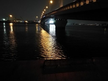 南港へち釣行 （2020/03/13 南港ヘチ釣り　キビレチヌ（45.5cm）真チヌ（30.5cm） 釣果有り）