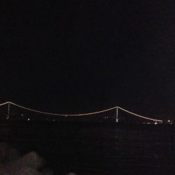 めっちゃ引きます